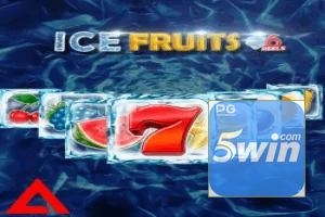 5WIN ajuda online — chat de suporte no aplicativo oficial