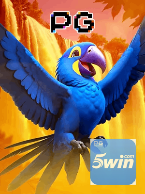 5WIN bônus — cashback 15 por cento e níveis VIP