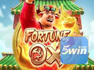 5WIN login — painel de entrada no app oficial