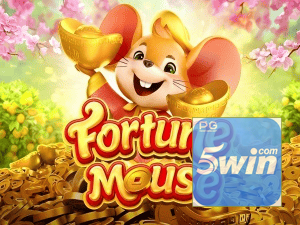 5WIN login — configurações de segurança e proteção de conta